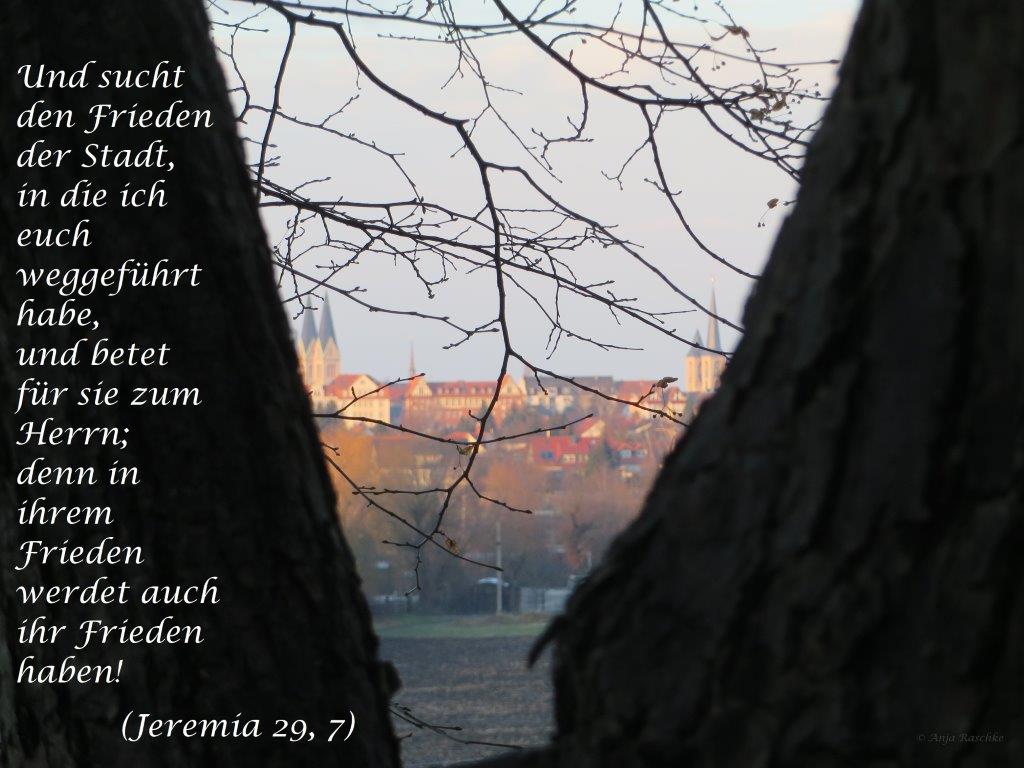 Jeremia 29,7