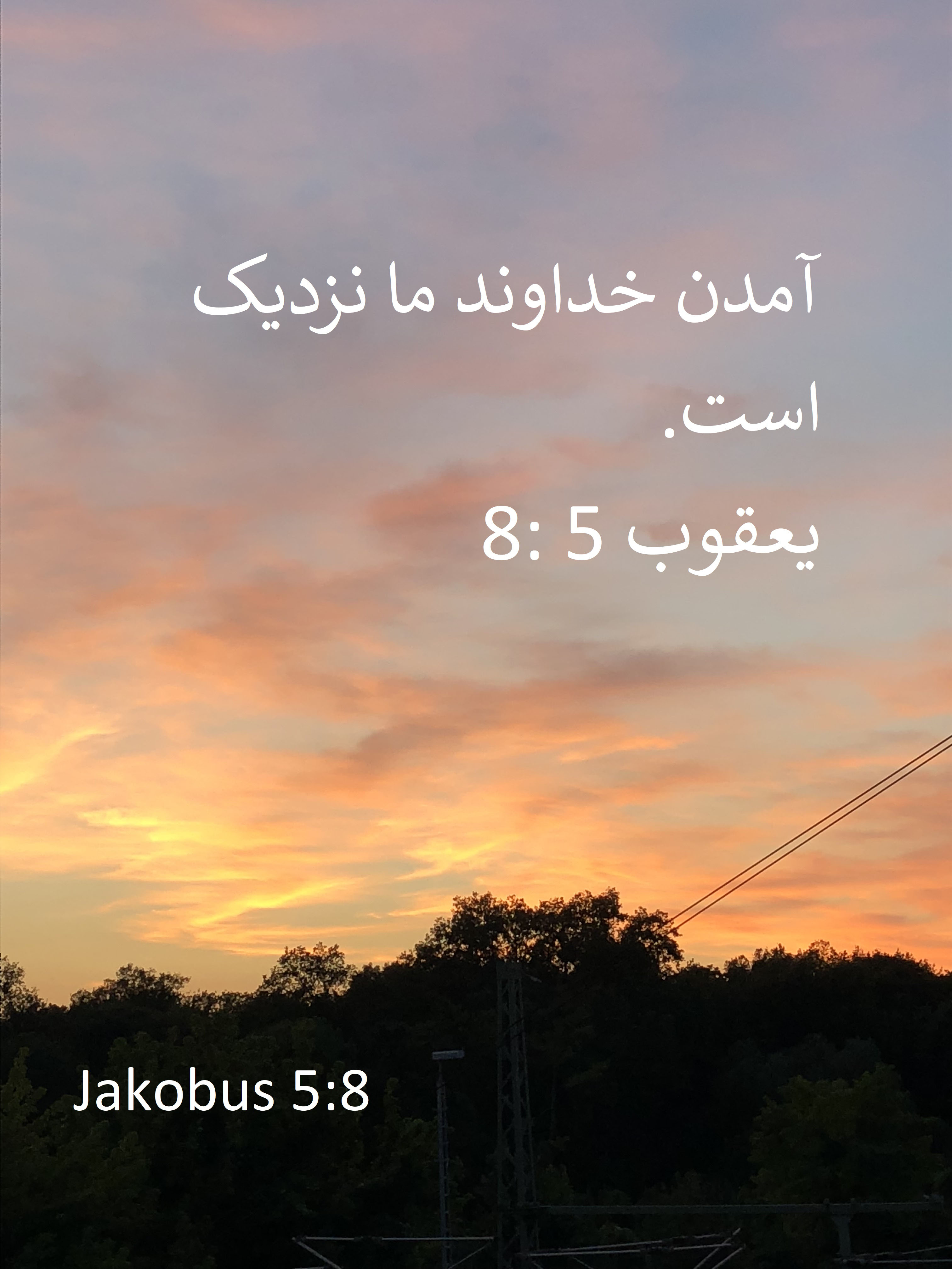 Jakobus  5,  8